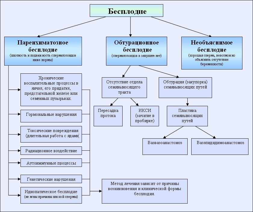 Мужское бесплодие: причины и возможные факторы, влияющие на развитие