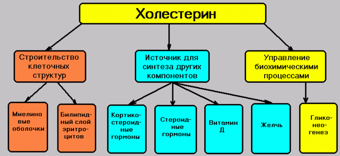 Холестерин