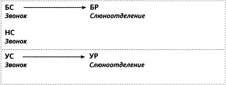 Ассоциативное обучение (респондентное обусловливание)