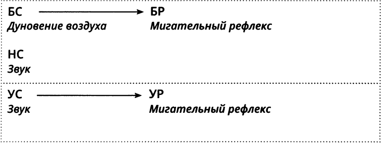 Респондентное обучение морганию