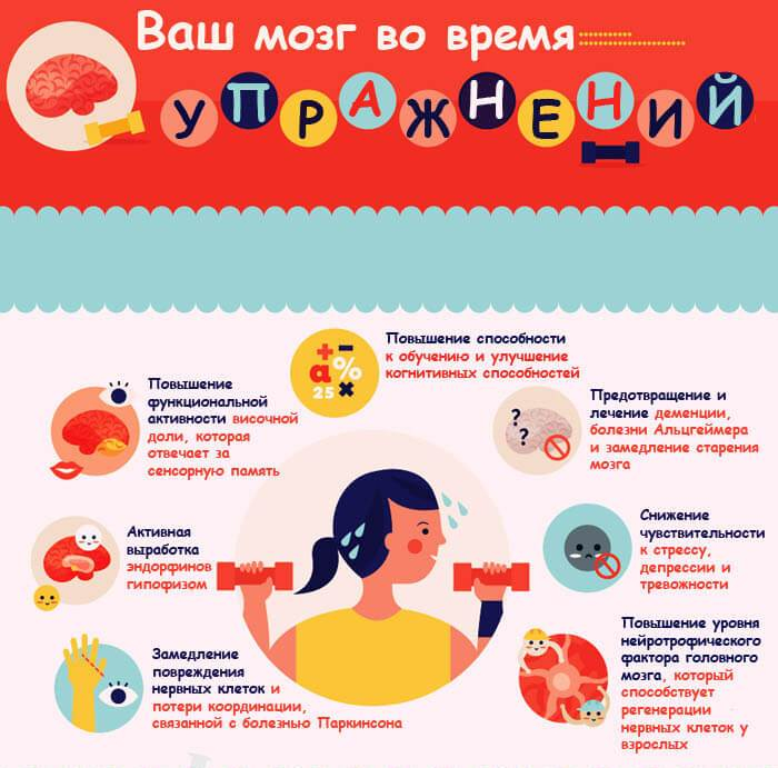 Польза физических упражнений для организма человека