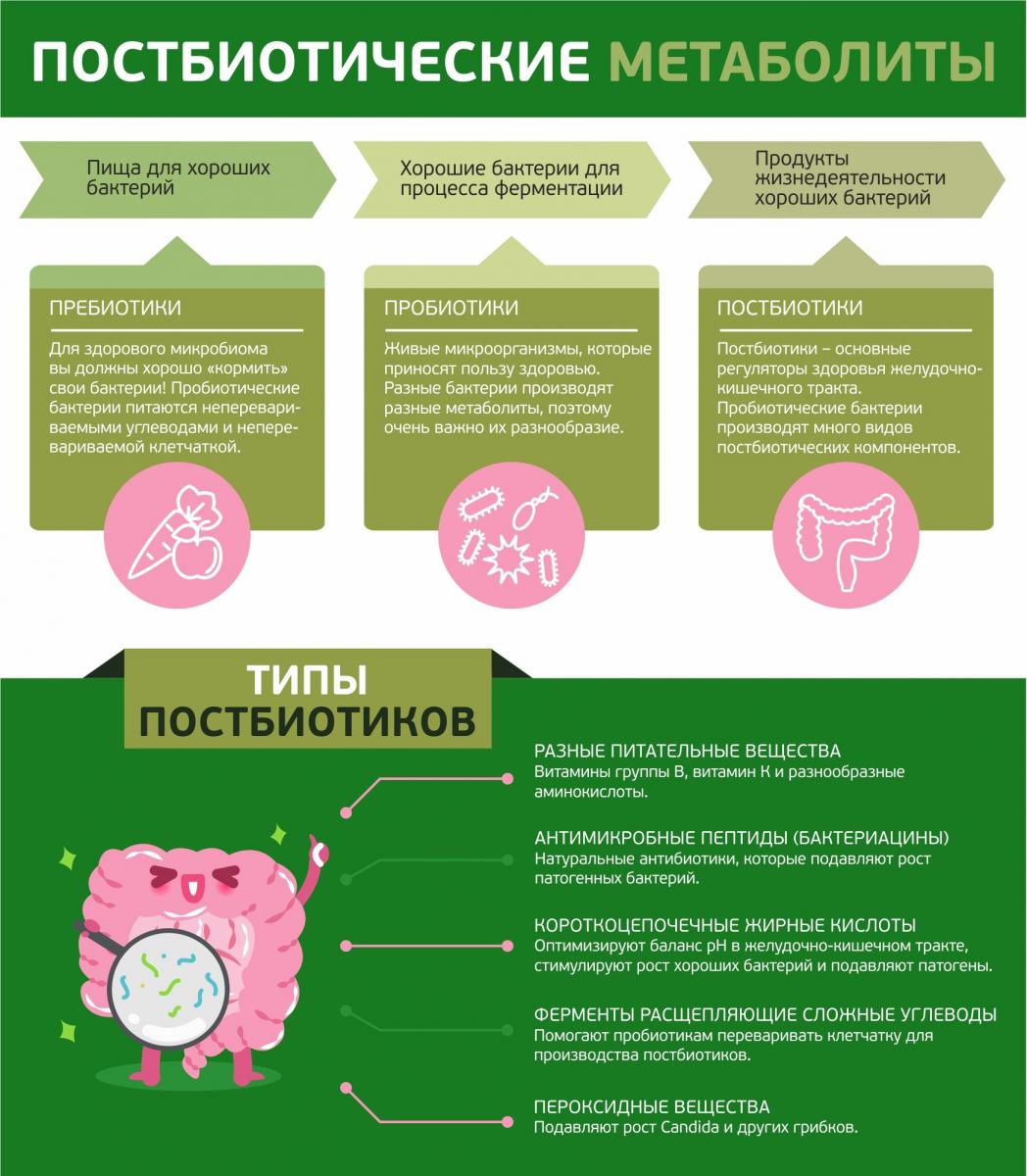 Метабиотик или метапребиотик? Взгляд со стороны