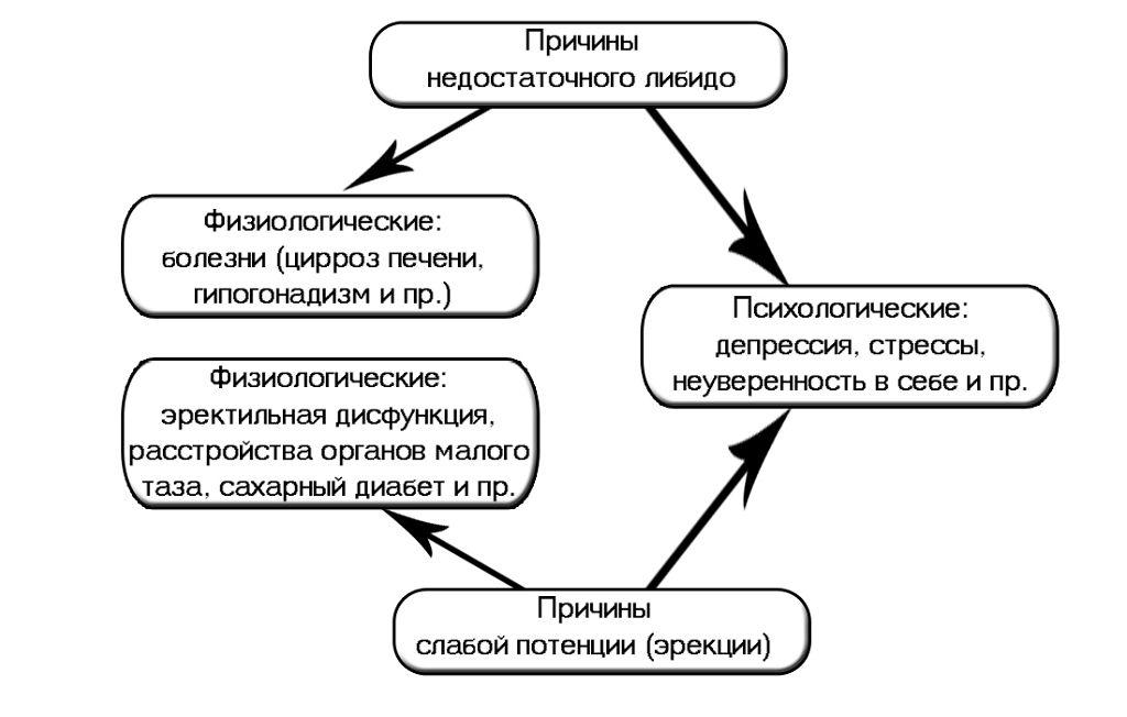 Факторы, способствующие снижению либидо