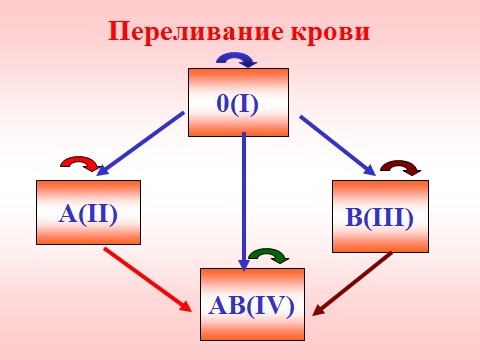 Совместимость групп крови при переливании