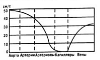 Линейная скорость кровотока в сосудистой системе