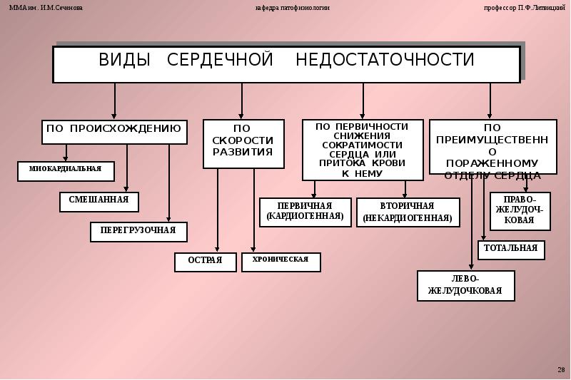 Тестостерон может лечить женскую сердечную недостаточность