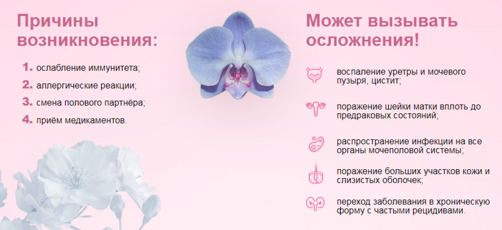 Молочница: симптомы и лечение заболевания